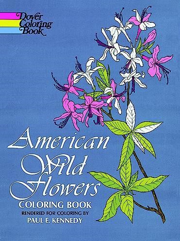 american wild flowers-1